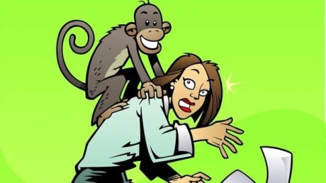 monkey on back